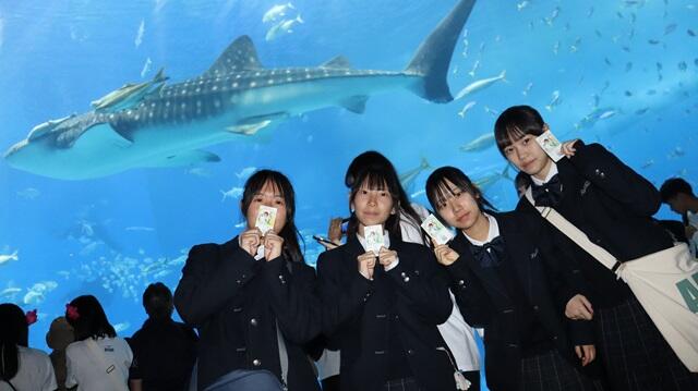 https://www.kyoto-be.ne.jp/jyouyou-hs/mt/school_life/images/7S20241203.jpg