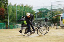 TPImage01111691.JPG