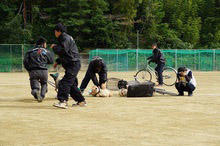 TPImage02111687.JPG