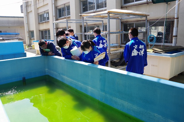 水産海洋基礎(実習)栽培漁業実習棟見学・スケッチ | 京都府立 水産海洋基礎(実習)栽培漁業実習棟見学・スケッチ | 京都府立