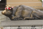 kennsyuu4-01.jpg