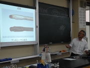 写真④ヤツメウナギの特徴.JPG
