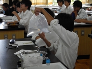 写真⑤ヤツメウナギの生体を観察.JPG