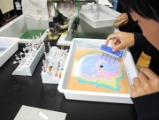 写真③マーブル染めによる作品づくり.JPG