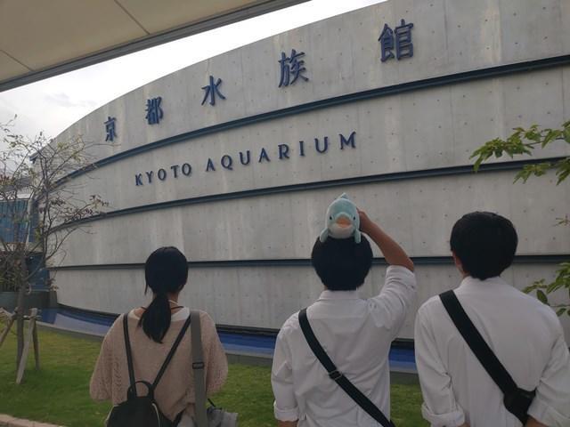 https://www.kyoto-be.ne.jp/kizu-hs/mt/club/images/e0c08c6d7ba2a0221d79117ac5c18b4beae57e2c.jpg