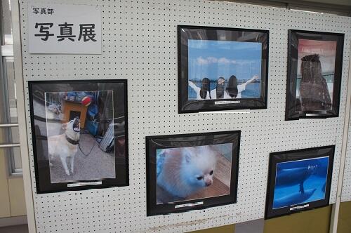 https://www.kyoto-be.ne.jp/kizu-hs/mt/school_life/images/DSC07731.JPG