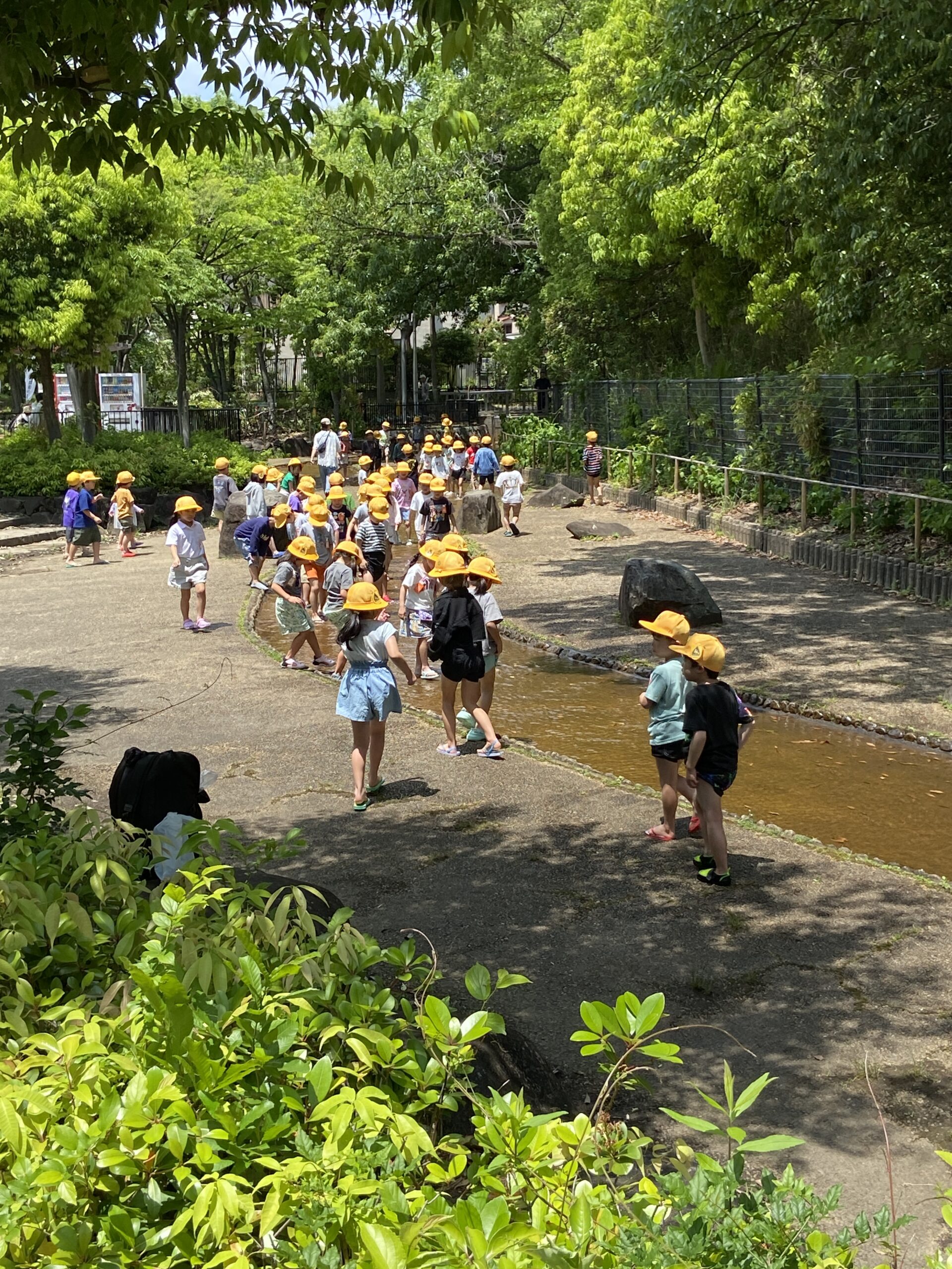 1年生　町たんけん