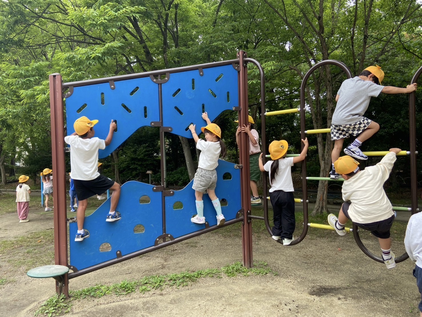 はじめての校外学習！市民の森へ行きました【1年生　市民の森】