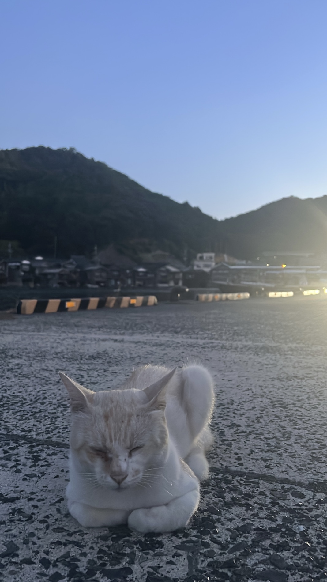 題名　港にたたずむ