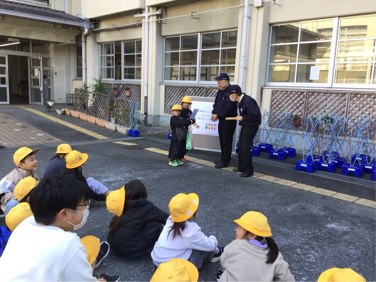 チューリップの球根 贈呈式