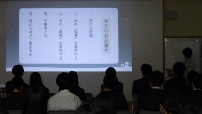 DSC02930.JPG