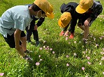 わかば学級「春みつけ」