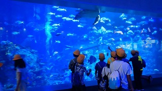６年「修学旅行⑮」