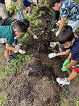 わかば学級「じゃがいもの収穫」
