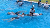 6年体育「着衣泳」