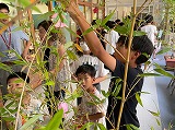 １・６年「七夕かざり」