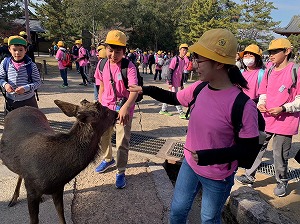 ６年「校外学習～奈良公園➂～」