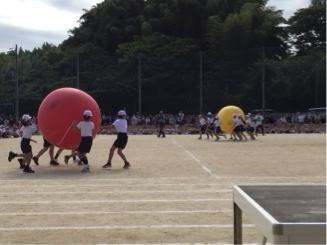 スポーツフェスタ②
