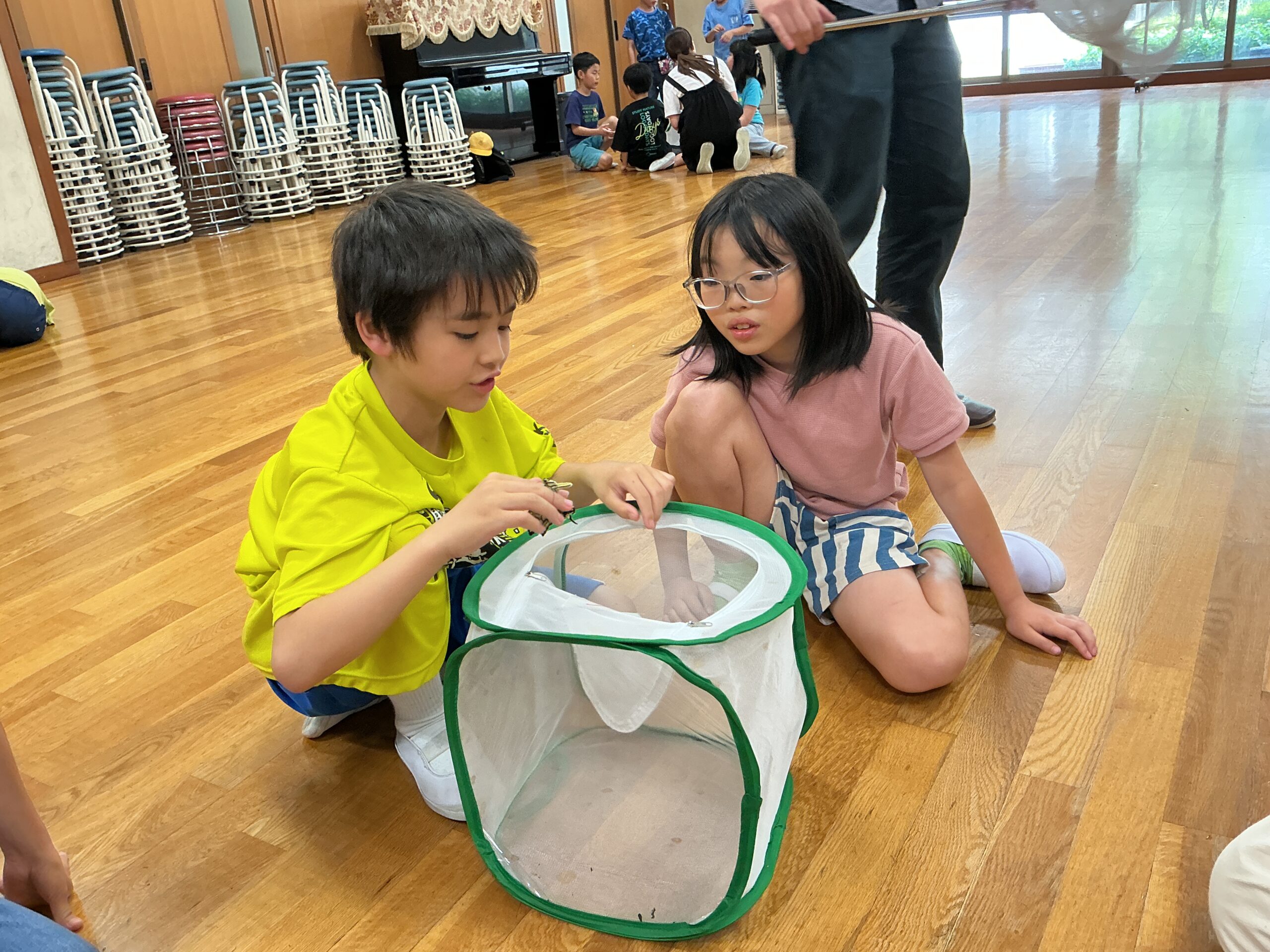 チョウの学習（3年生・わかば学級）