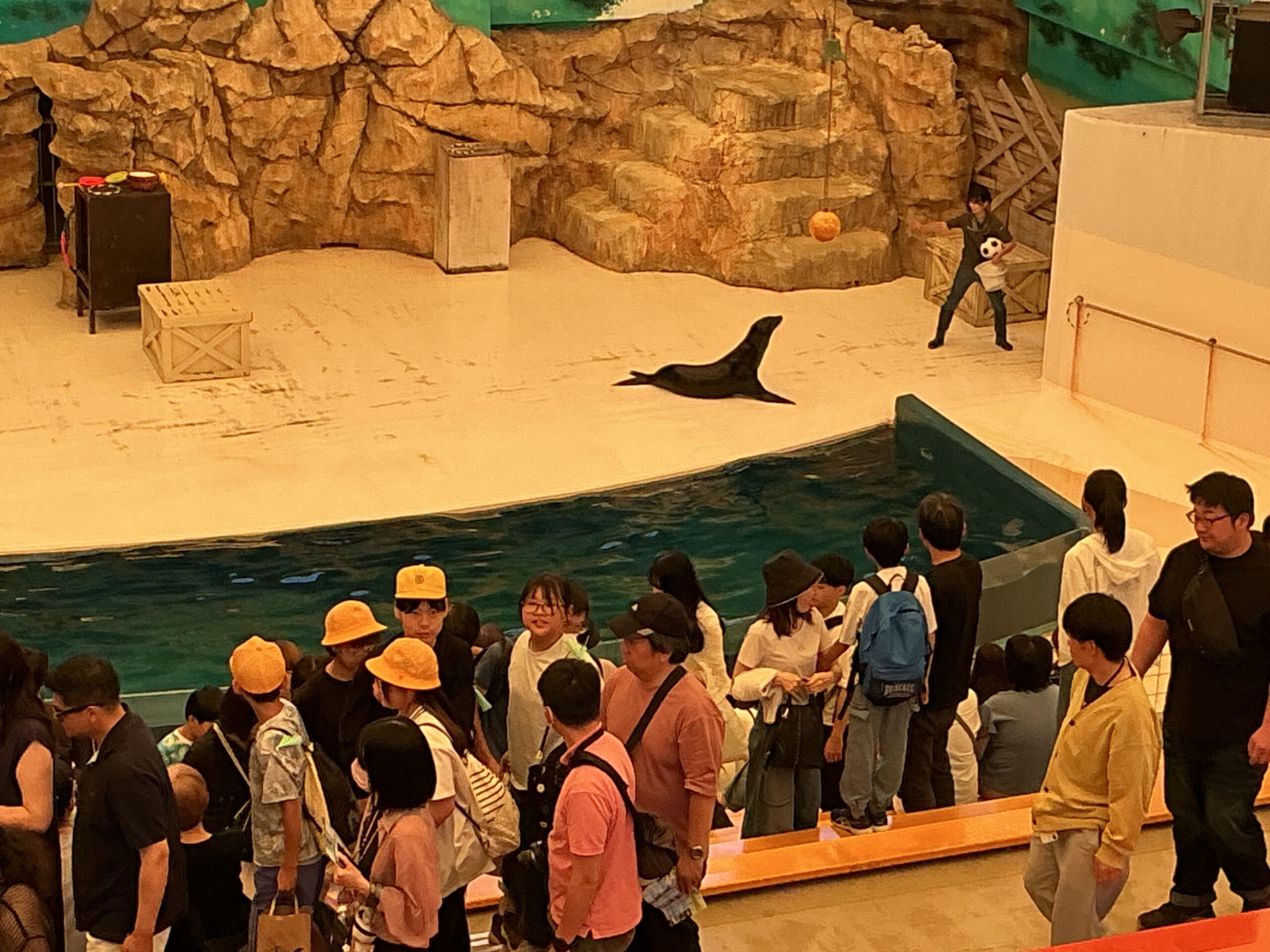 修学旅行　12
