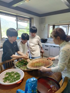 Image gallery image