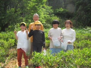 Image gallery image