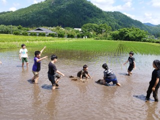Image gallery image