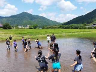Image gallery image