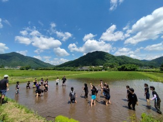 Image gallery image