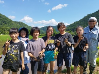 Image gallery image