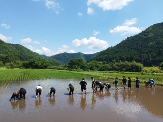 Image gallery image