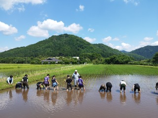 Image gallery image