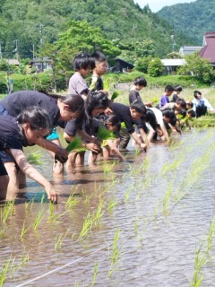 Image gallery image