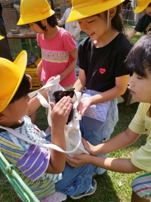 Image gallery image