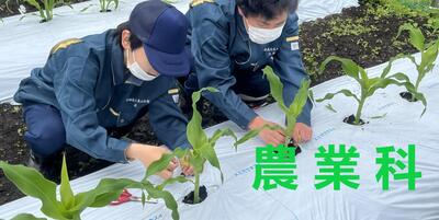 農業科フォト.jpg