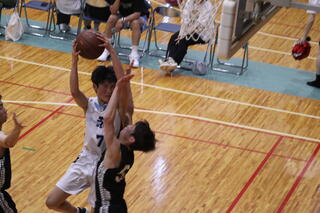 IMG_8954.JPG