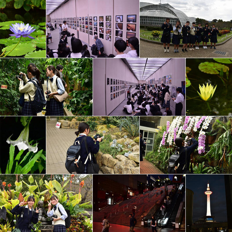 20241026京総文.jpeg