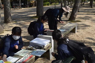 20250503_美術部写生会 (4).JPG