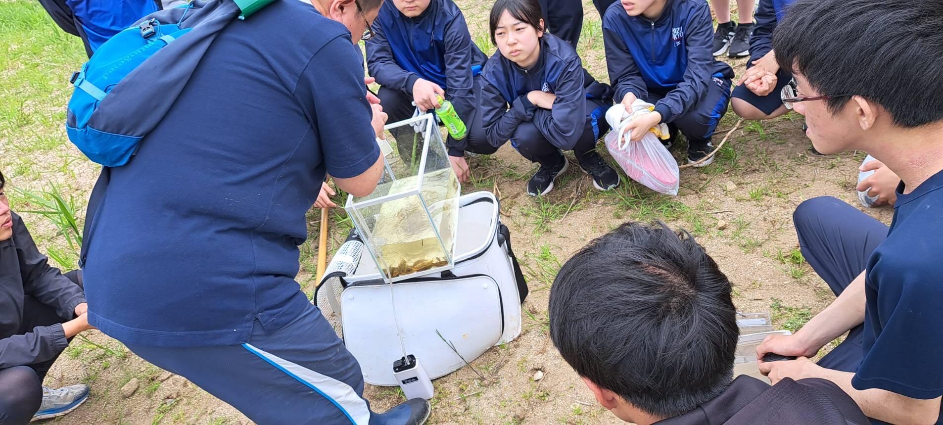 川掃除１.jpg