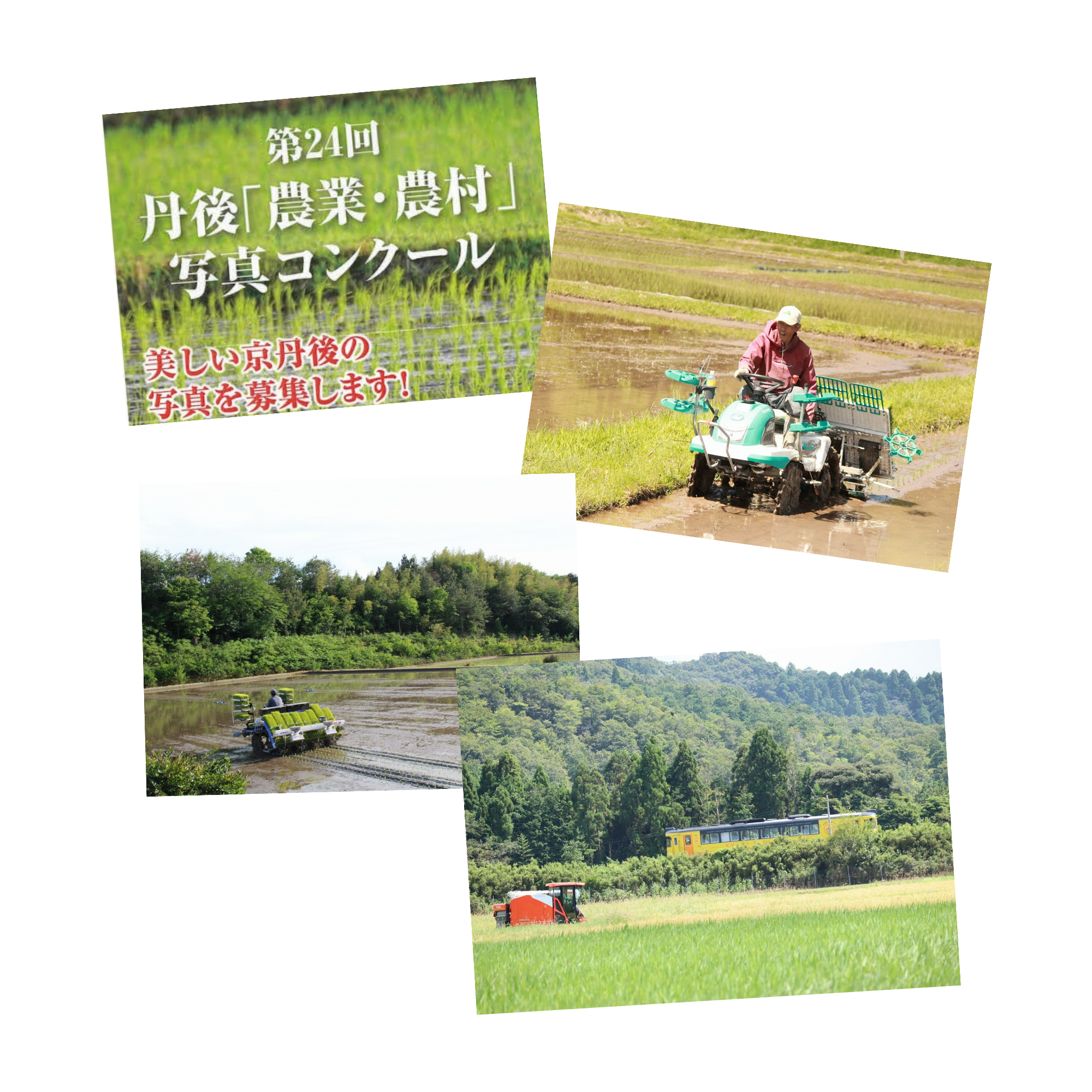 丹後農業農村ホームページ用写真.png