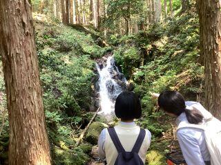 ★画像 -20240612-051009-4120b8cc.jpeg