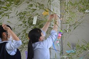 tanabata_DSC_0611.jpg