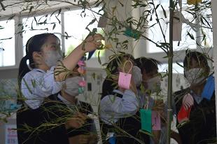 tanabata_DSC_0631.jpg