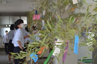 tanabata_DSC_0685.jpg