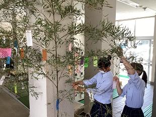 tanabata_IMG_0406 1.jpg