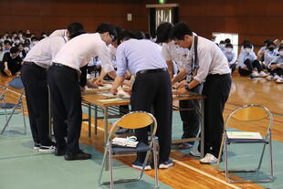 IMG_8895.JPG