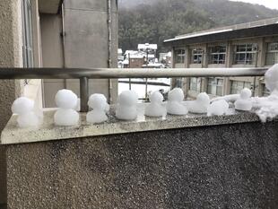 20240126雪 (1).jpeg