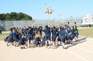 2024体育祭 HP(15).JPG