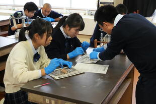 20241121_生物基礎 (28).JPG