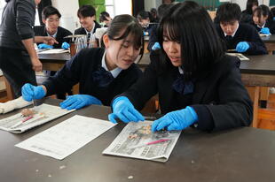 20241121_生物基礎 (52).JPG